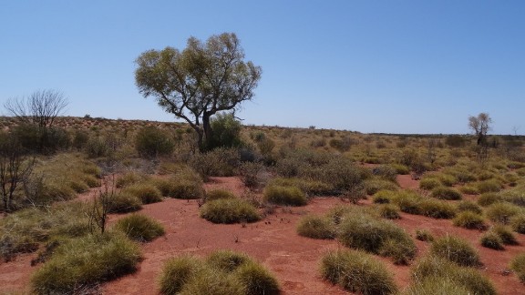 El Niño Is Hotter Now. Australia's Insurers Are Not Ready
