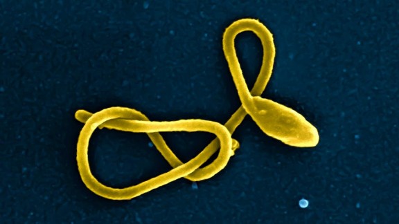Congo's Ebola Crisis: When Conflict Defeats Medicine